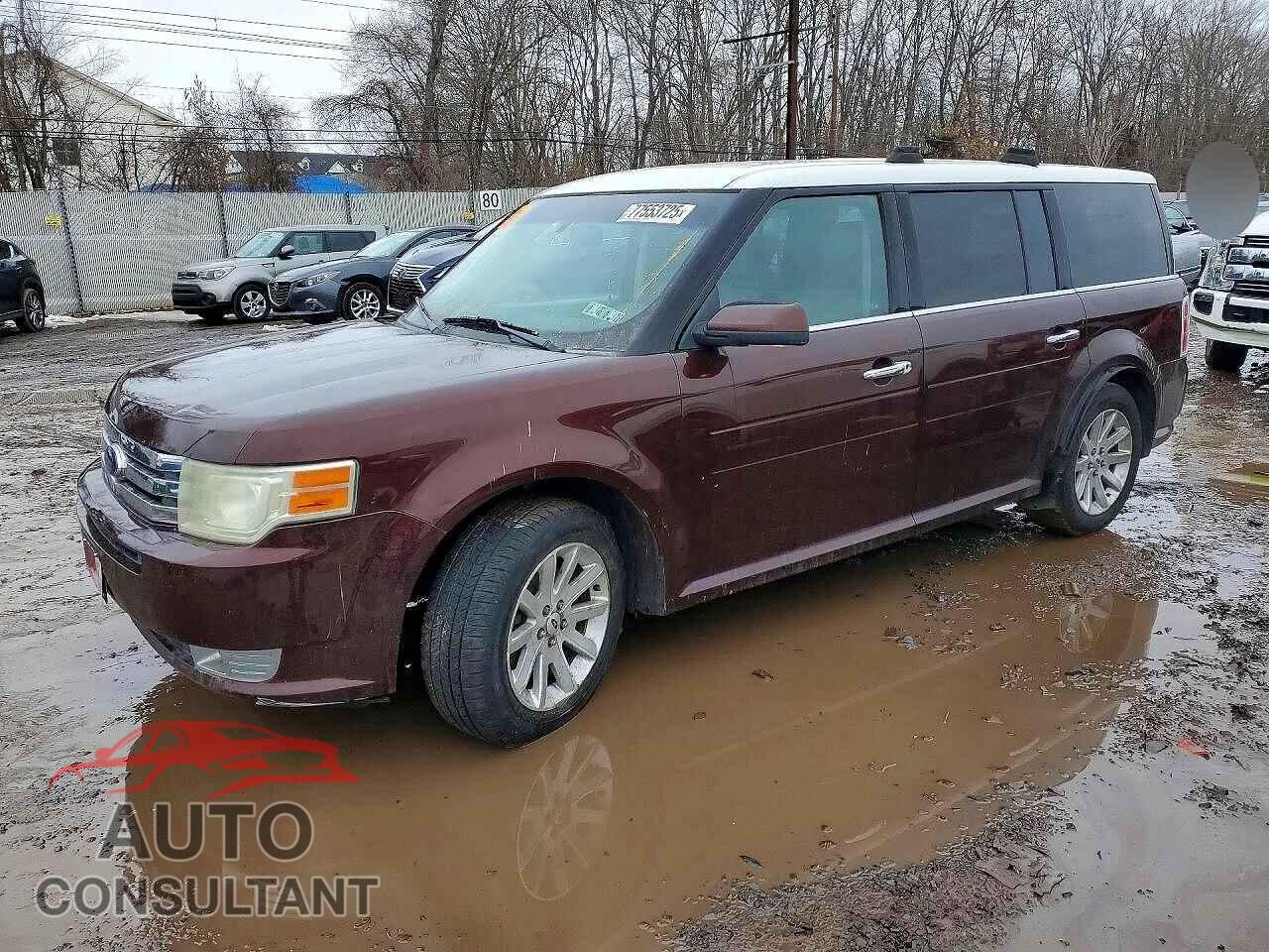 FORD FLEX 2009 - 2FMDK52C89BA03073