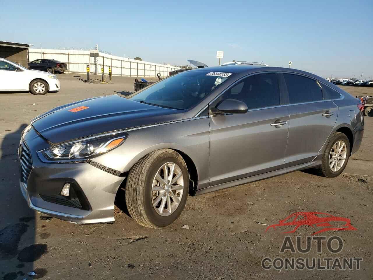 HYUNDAI SONATA 2019 - 5NPE24AF6KH765472