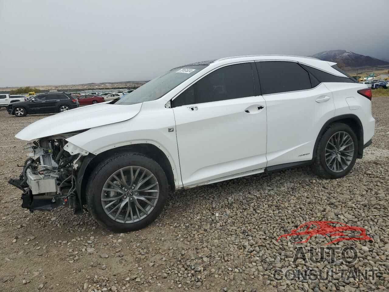 LEXUS RX450 2019 - 2T2BGMCA8KC035857