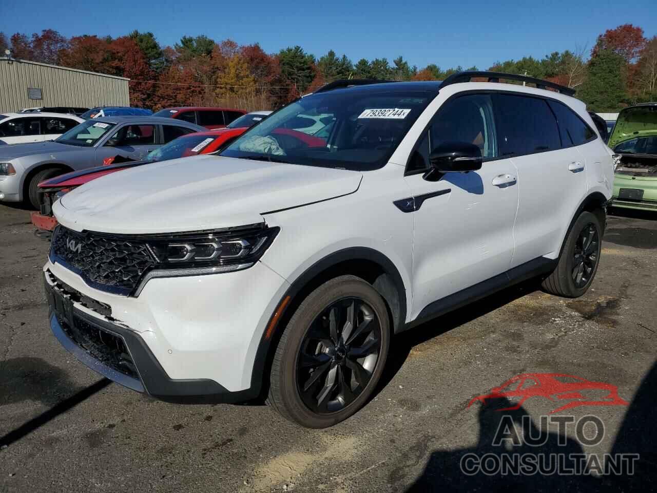 KIA SORENTO 2022 - 5XYRKDLF8NG090539