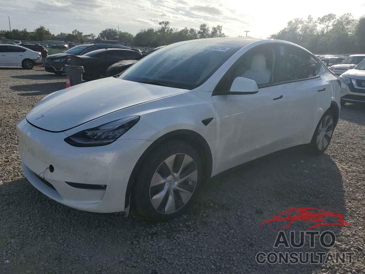 TESLA MODEL Y 2022 - 7SAYGAEE5NF466687