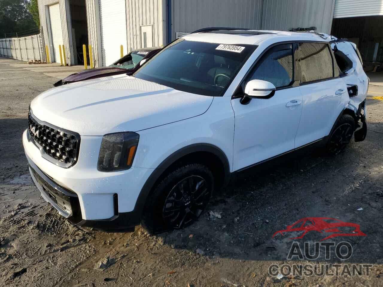 KIA TELLURIDE 2024 - 5XYP5DGC4RG460051