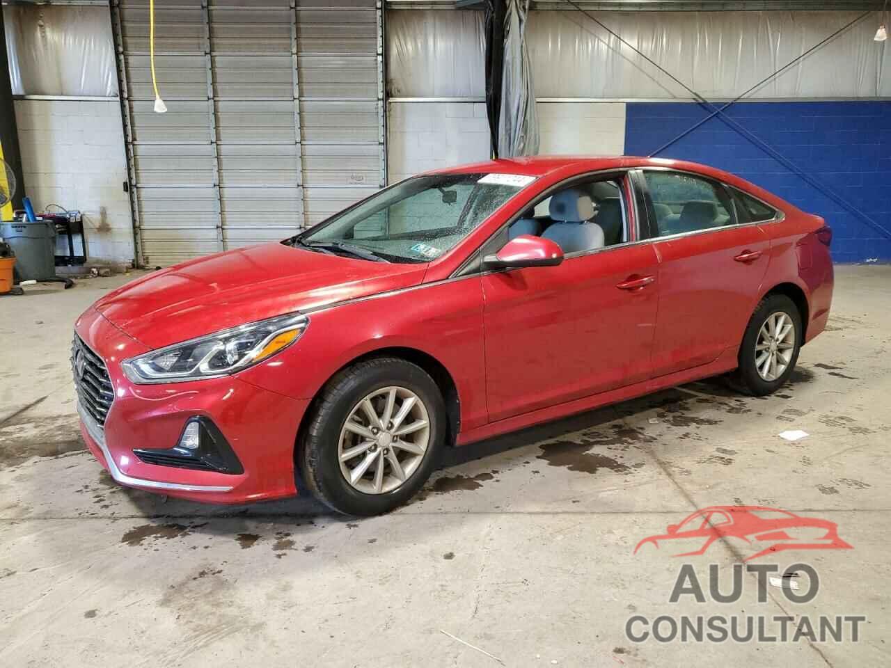 HYUNDAI SONATA 2019 - 5NPE24AF2KH819883
