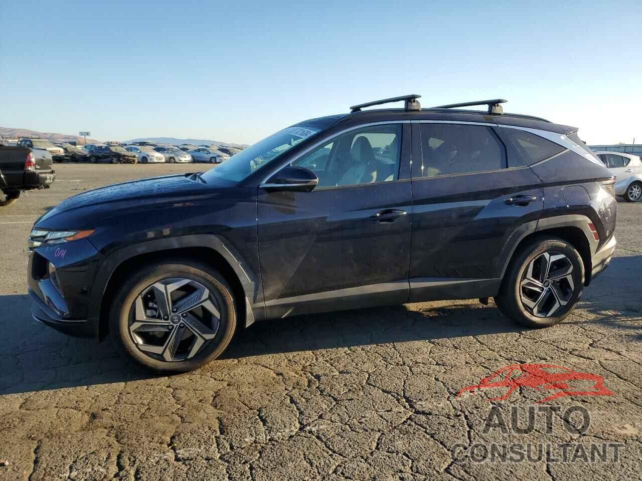 HYUNDAI TUCSON 2023 - KM8JFDA26PU117171