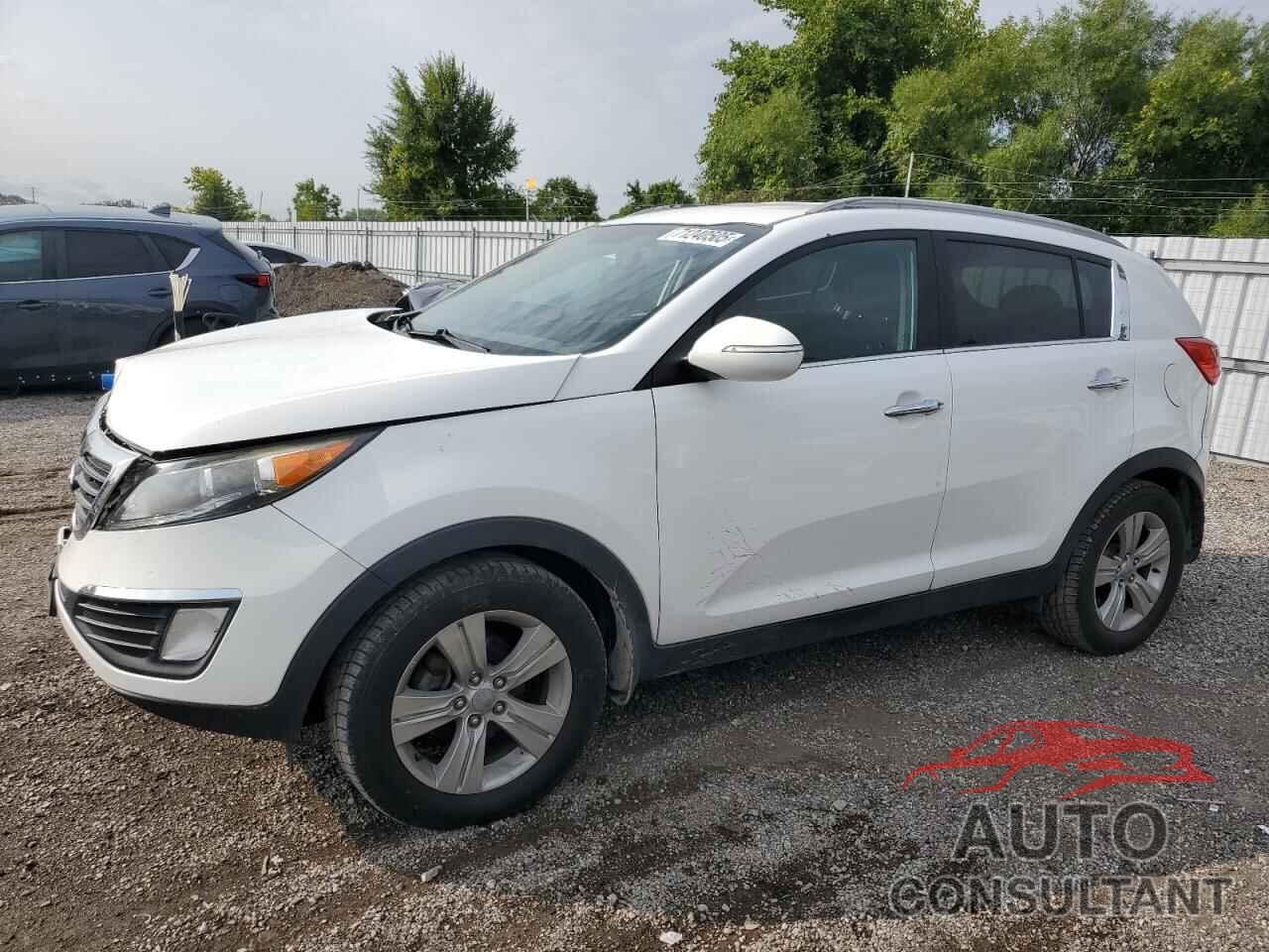 KIA SPORTAGE 2011 - KNDPC3A26B7174253
