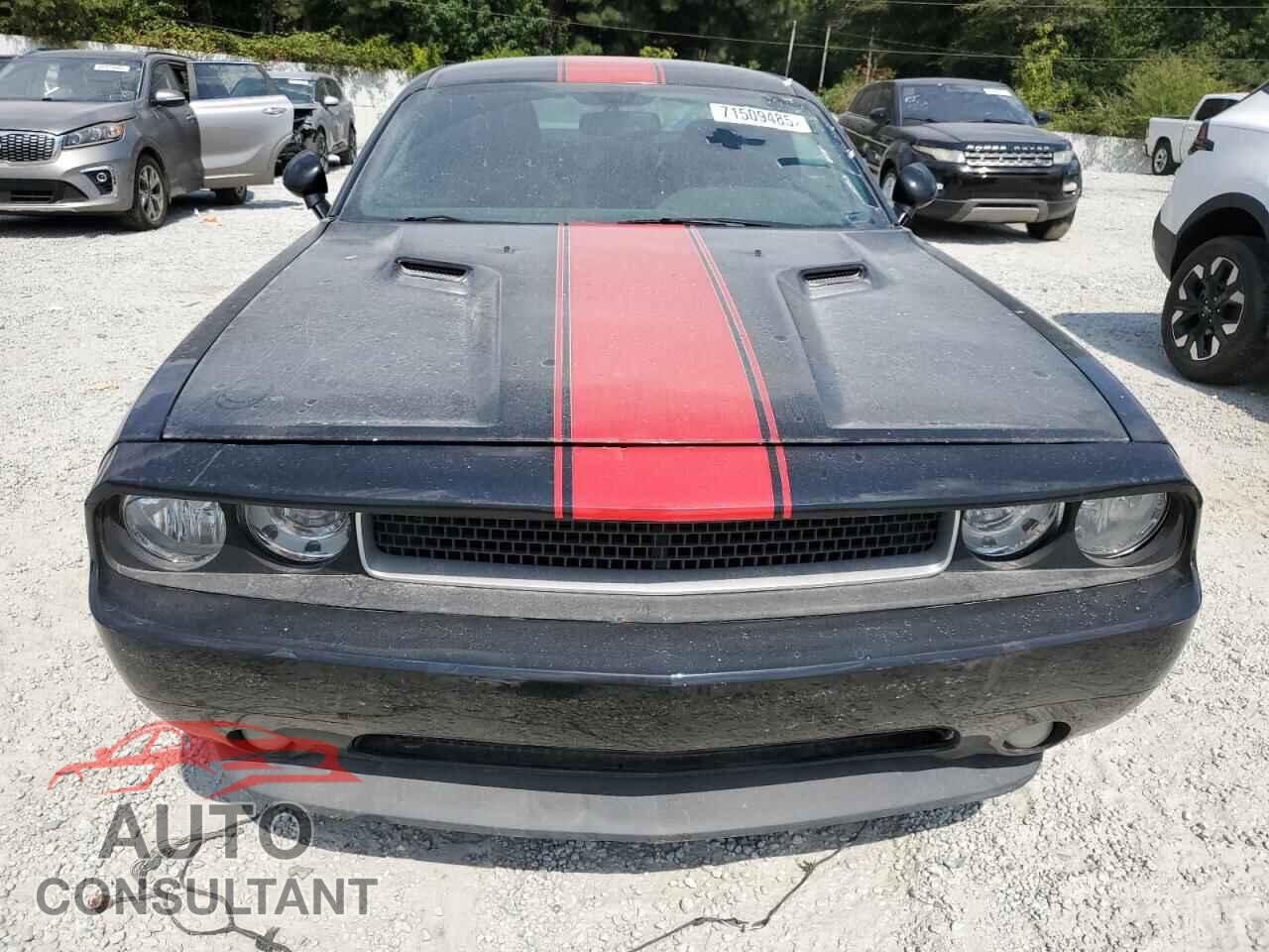 DODGE CHALLENGER 2013 - 2C3CDYAGXDH652285