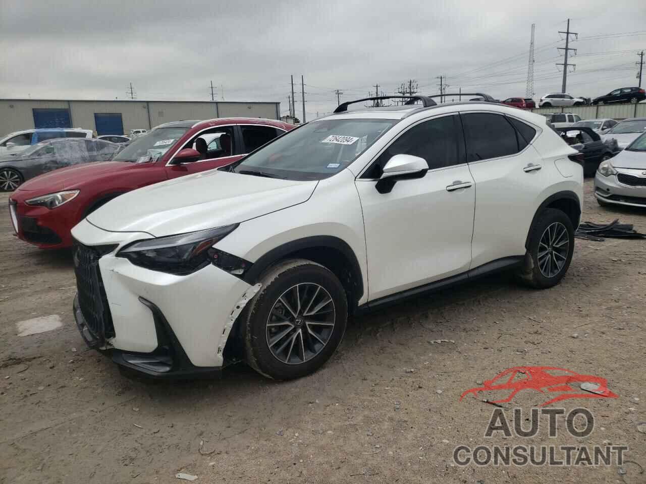 LEXUS NX 250 PRE 2024 - JTJGDCAZ1R2009466