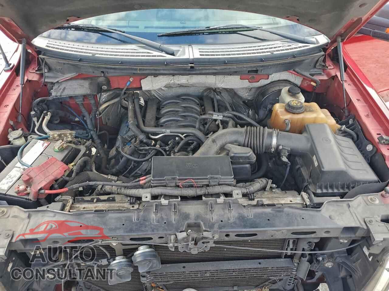 FORD F-150 2012 - 1FTFX1CF7CFC47531