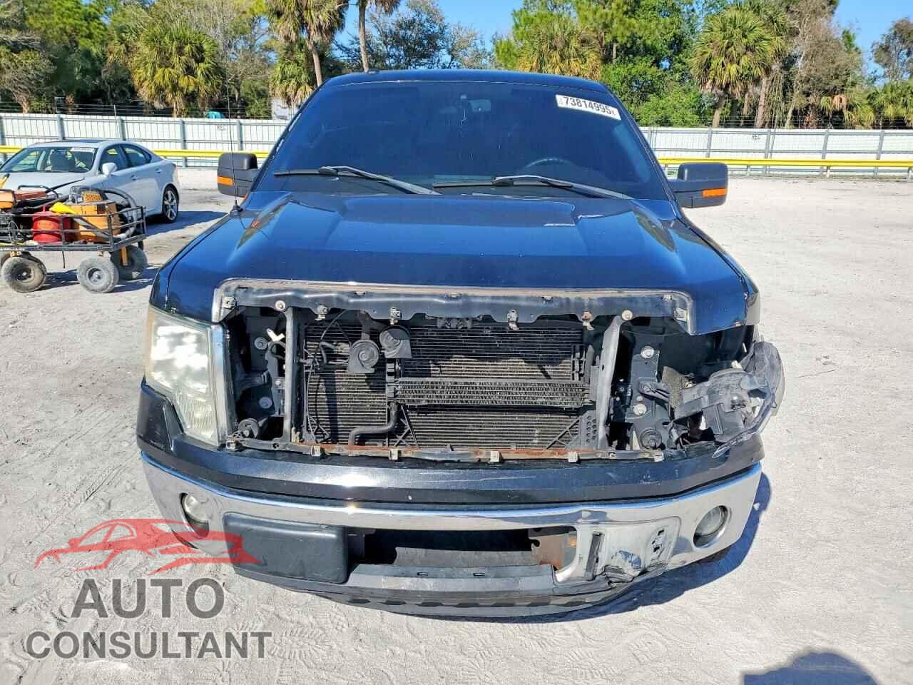 FORD F-150 2011 - 1FTFX1CF2BFA04403