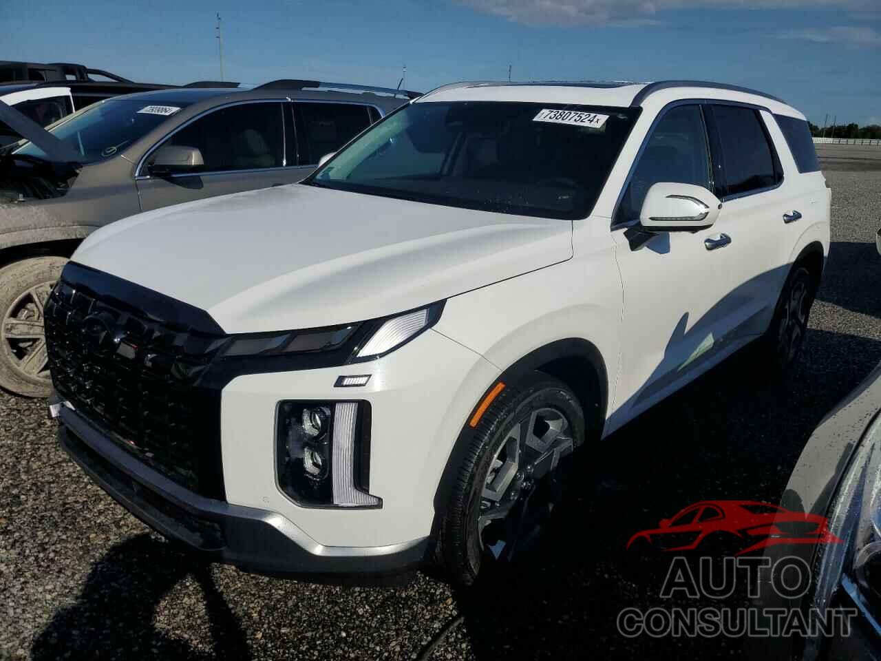 HYUNDAI PALISADE 2024 - KM8R4DGE9RU669812