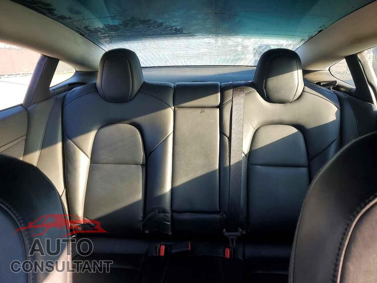 TESLA MODEL 3 2019 - 5YJ3E1EA5KF409721
