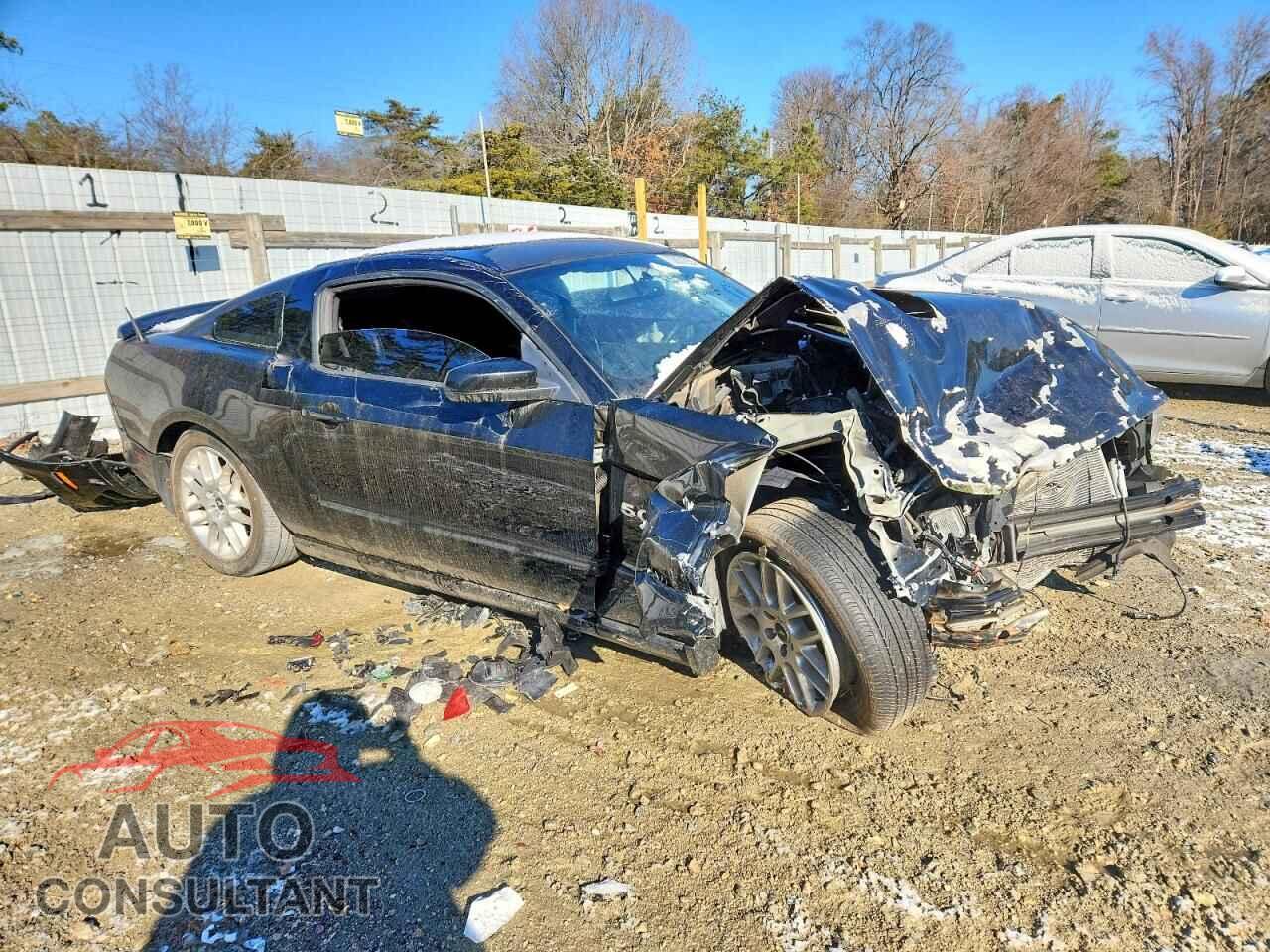 FORD MUSTANG 2013 - 1ZVBP8CF0D5265297
