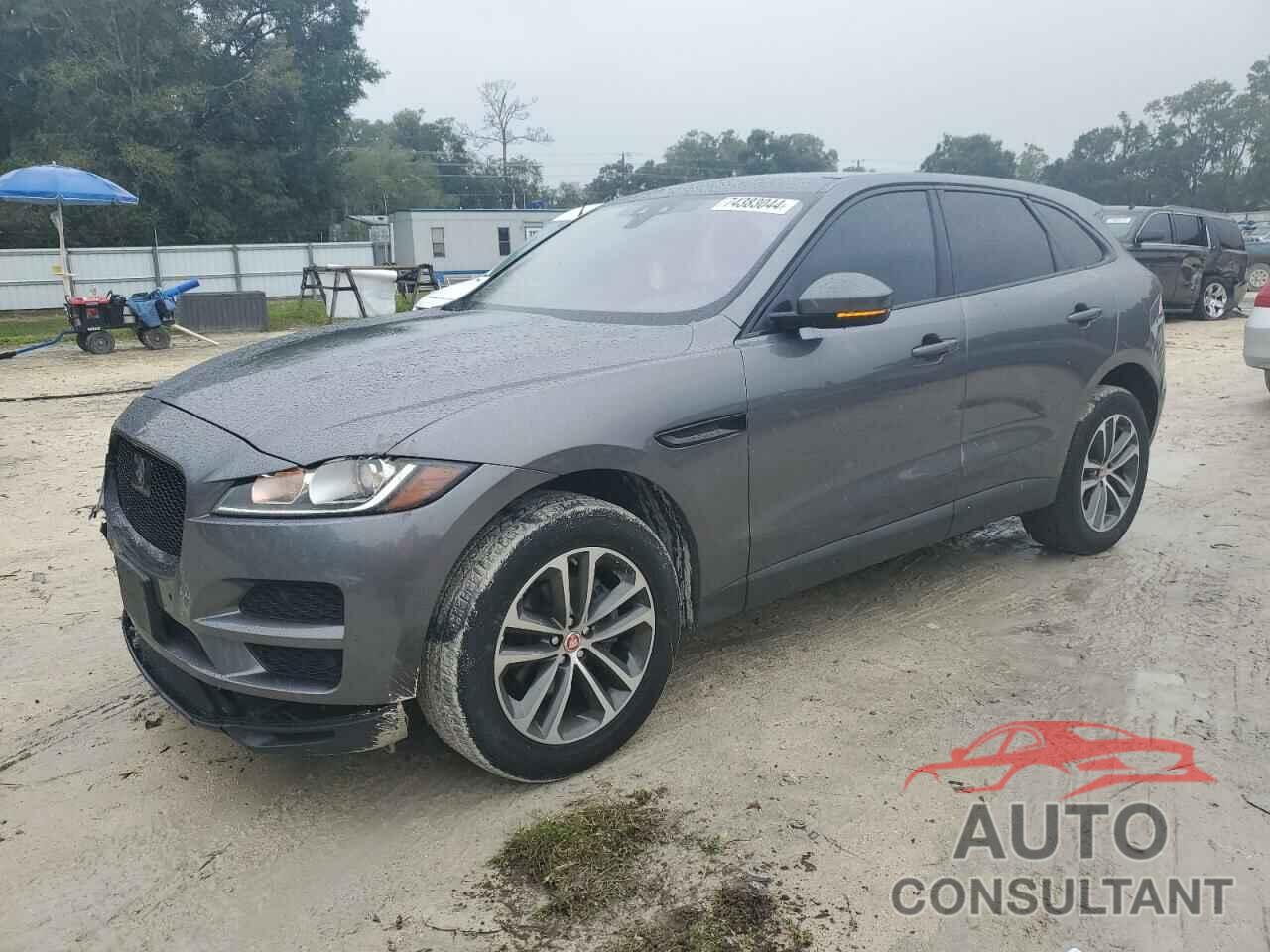 JAGUAR F-PACE 2019 - SADCJ2FX1KA395821