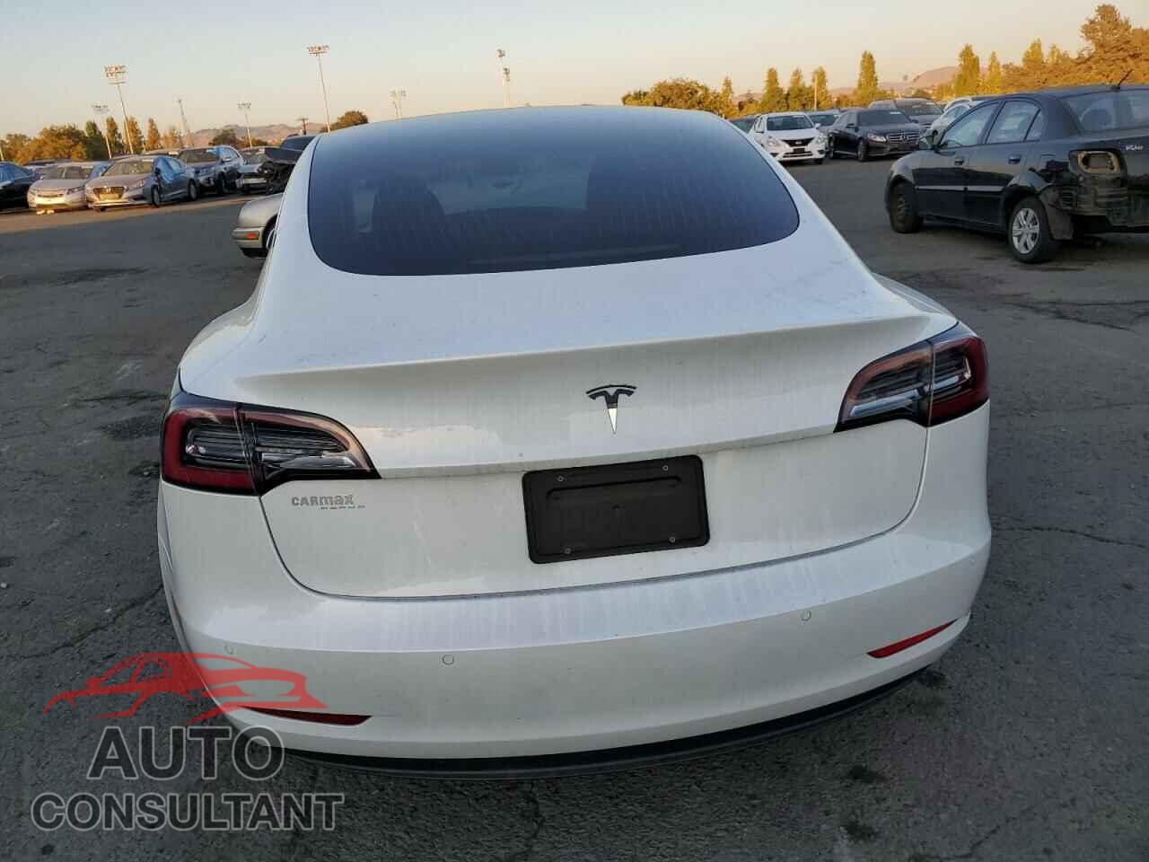 TESLA MODEL 3 2020 - 5YJ3E1EA6LF659793