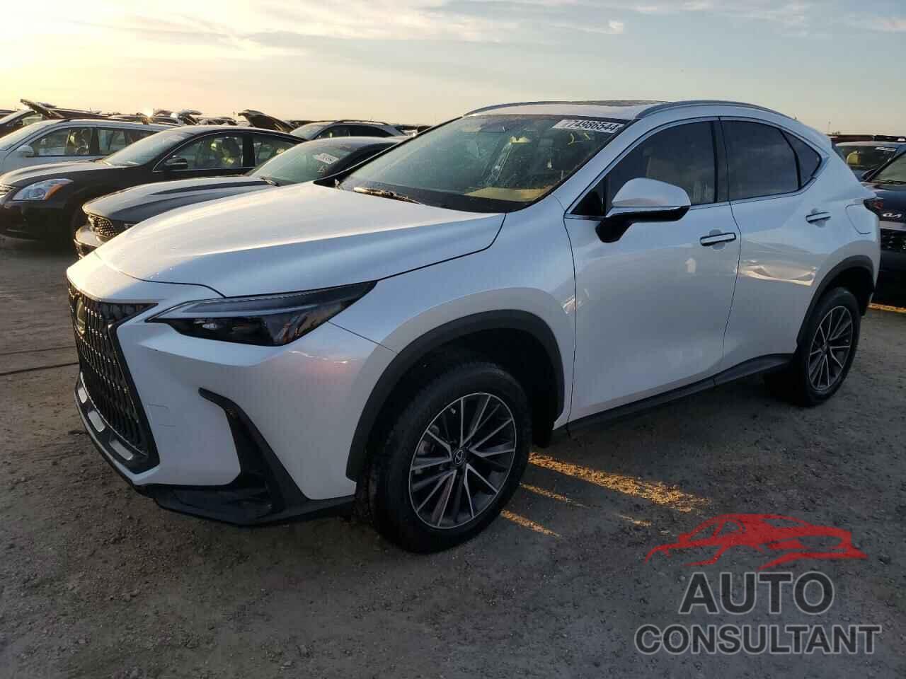 LEXUS NX 350H BA 2024 - JTJAKCEZ6R5020936
