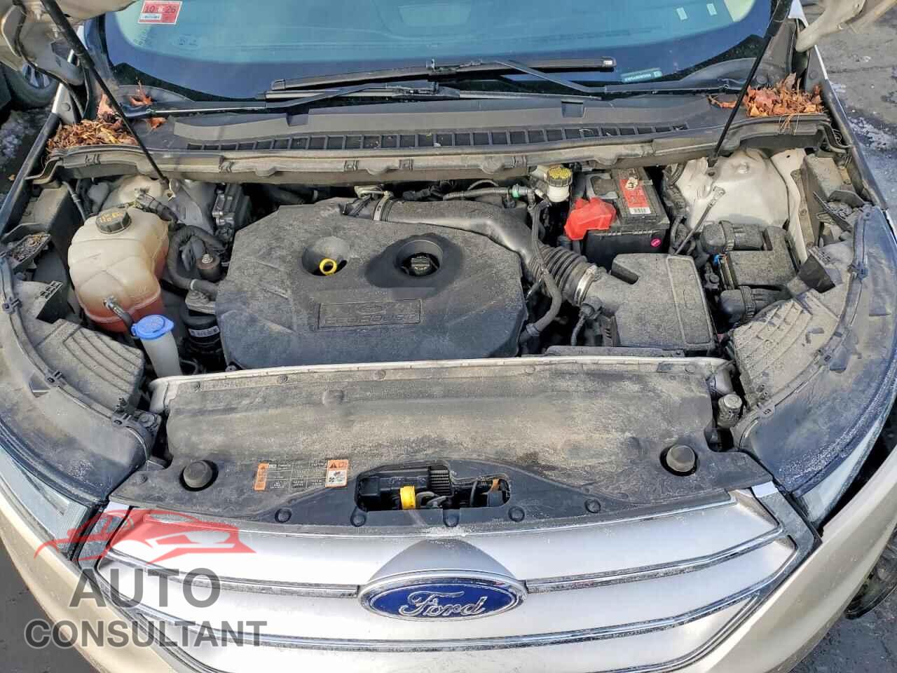 FORD EDGE 2017 - 2FMPK4J96HBC53584