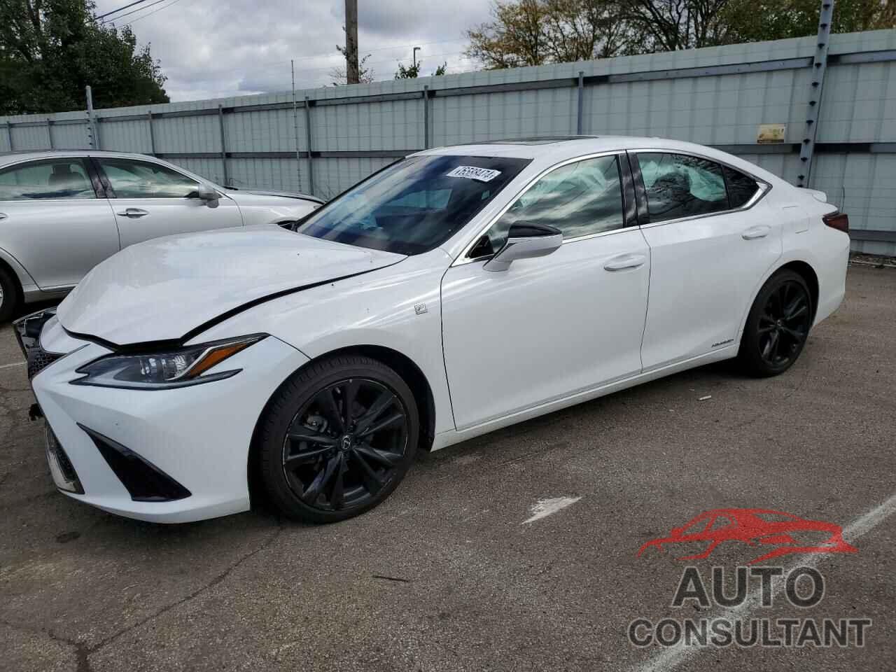 LEXUS ES300 2022 - 58AGA1C18NU022676