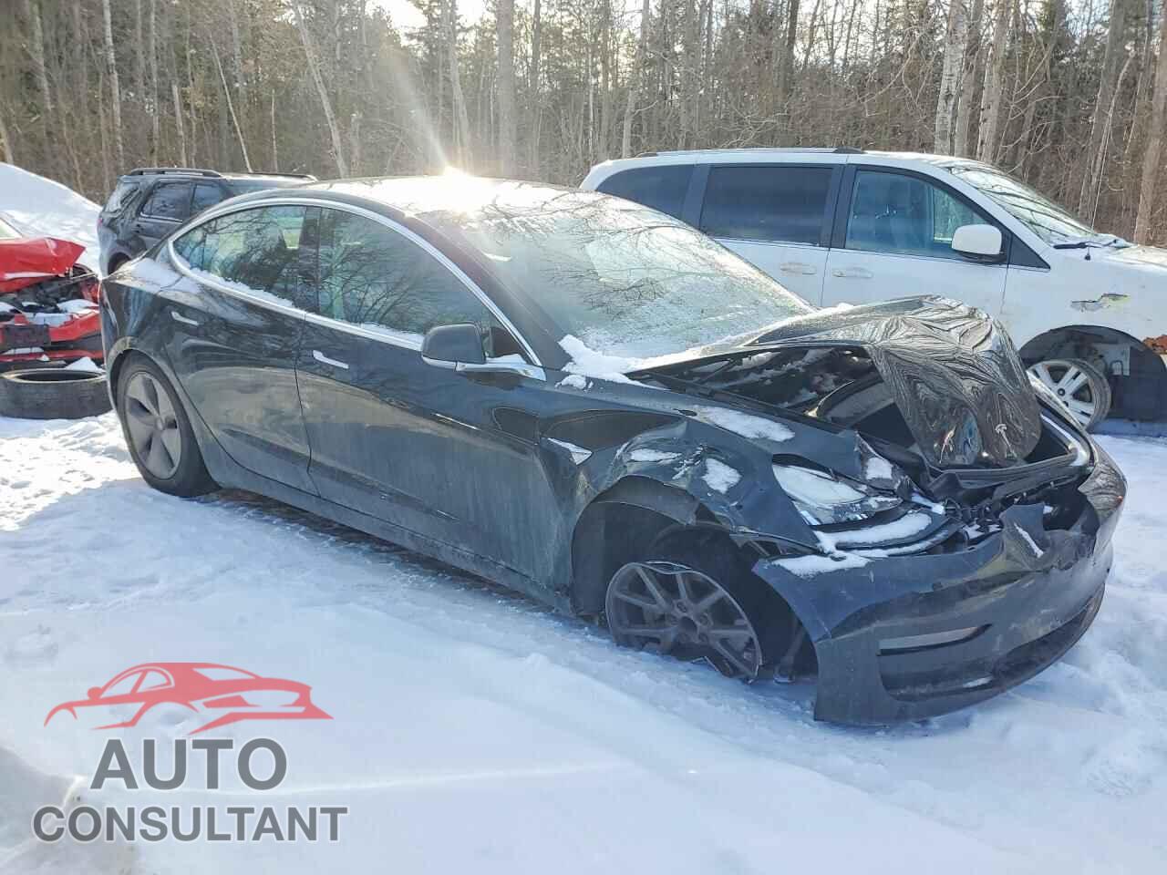 TESLA MODEL 3 2019 - 5YJ3E1EA8KF407719