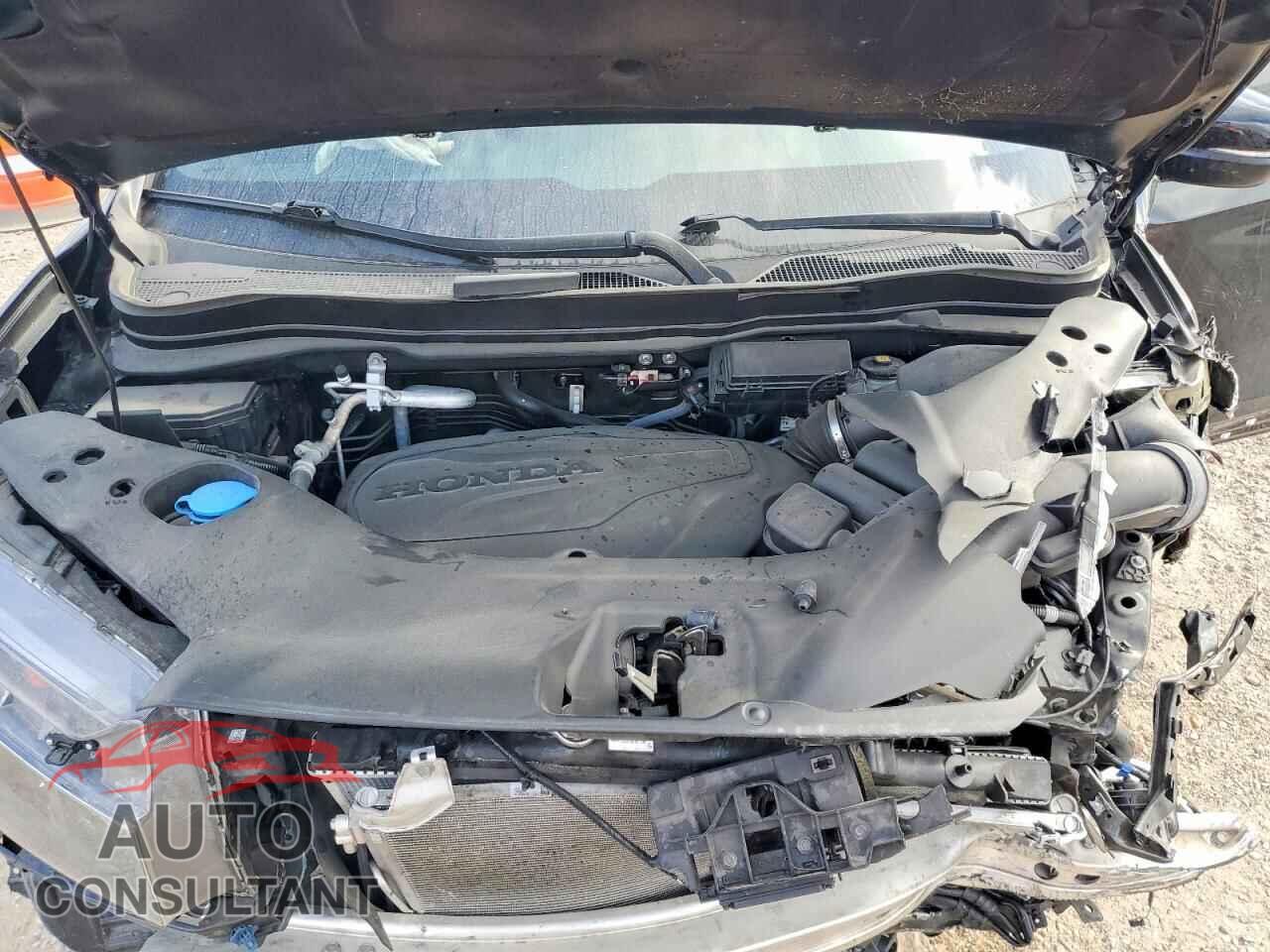 HONDA RIDGELINE 2025 - 5FPYK3F58SB018095