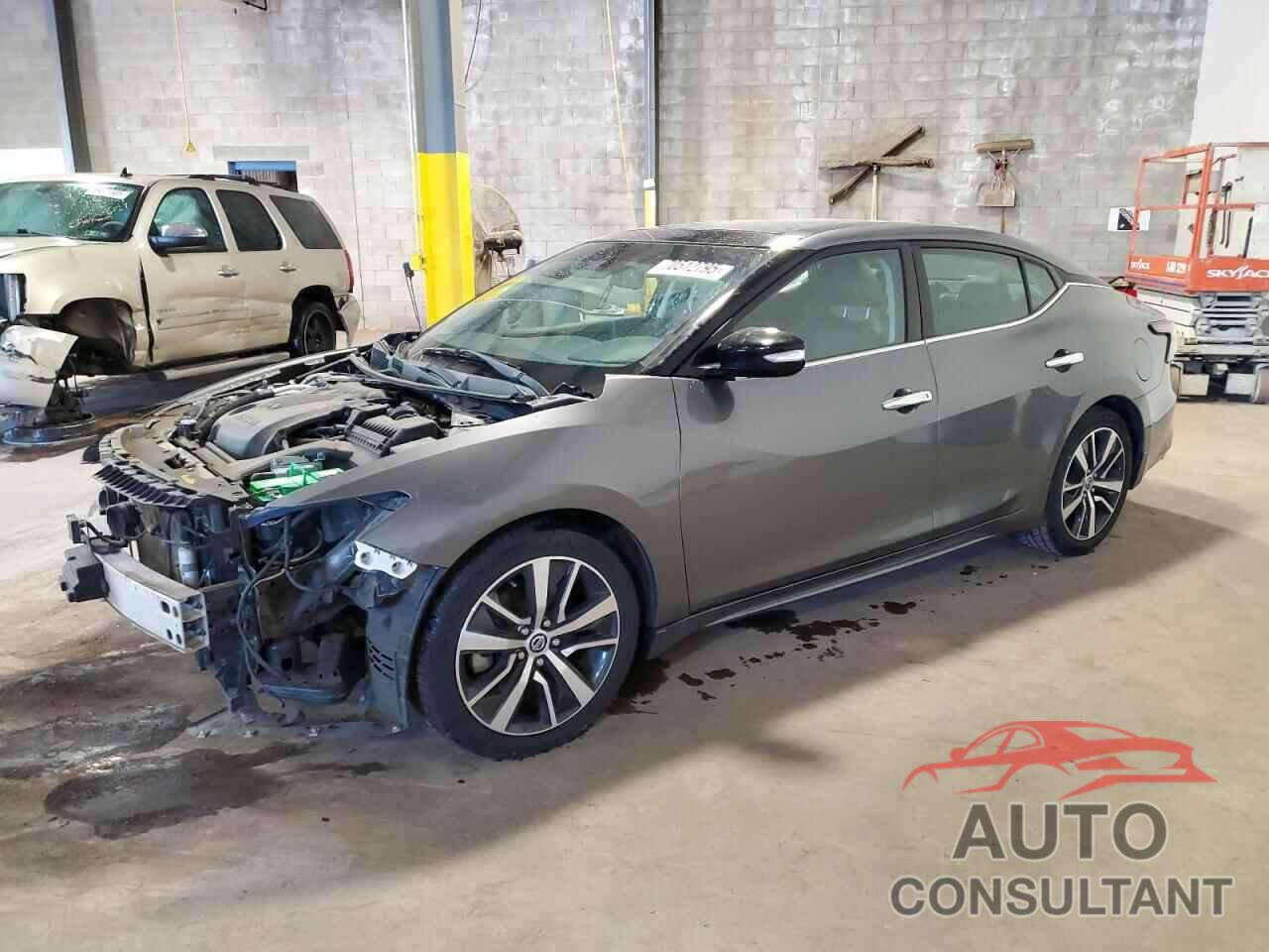 NISSAN MAXIMA 2019 - 1N4AA6AV8KC379934