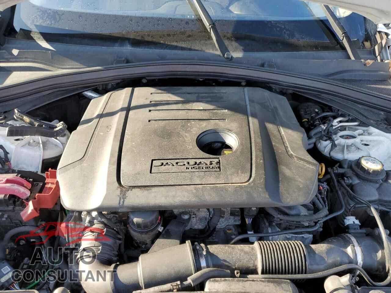 JAGUAR F-PACE 2017 - SADCS2BN3HA086281