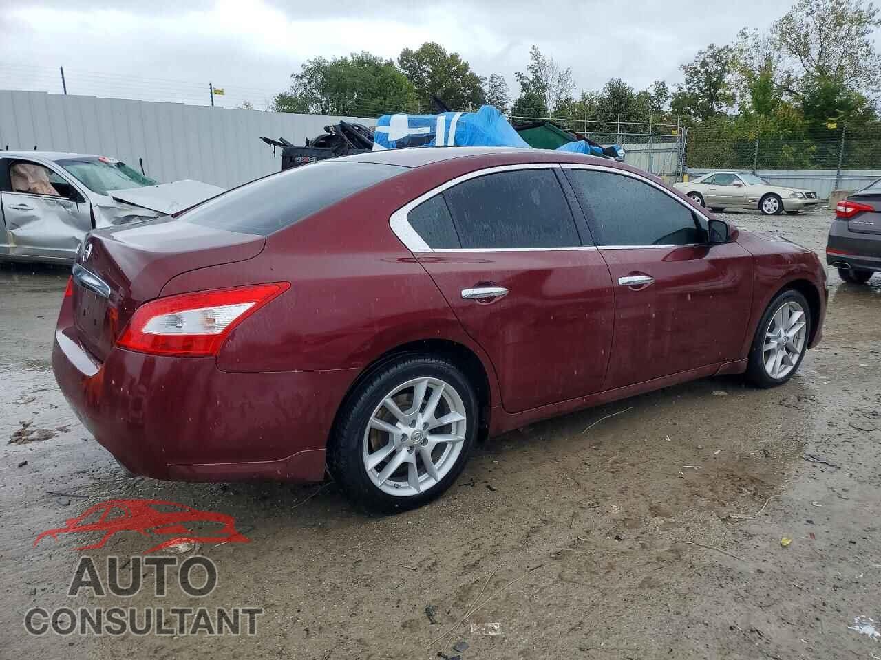 NISSAN MAXIMA 2009 - 1N4AA51E49C845489
