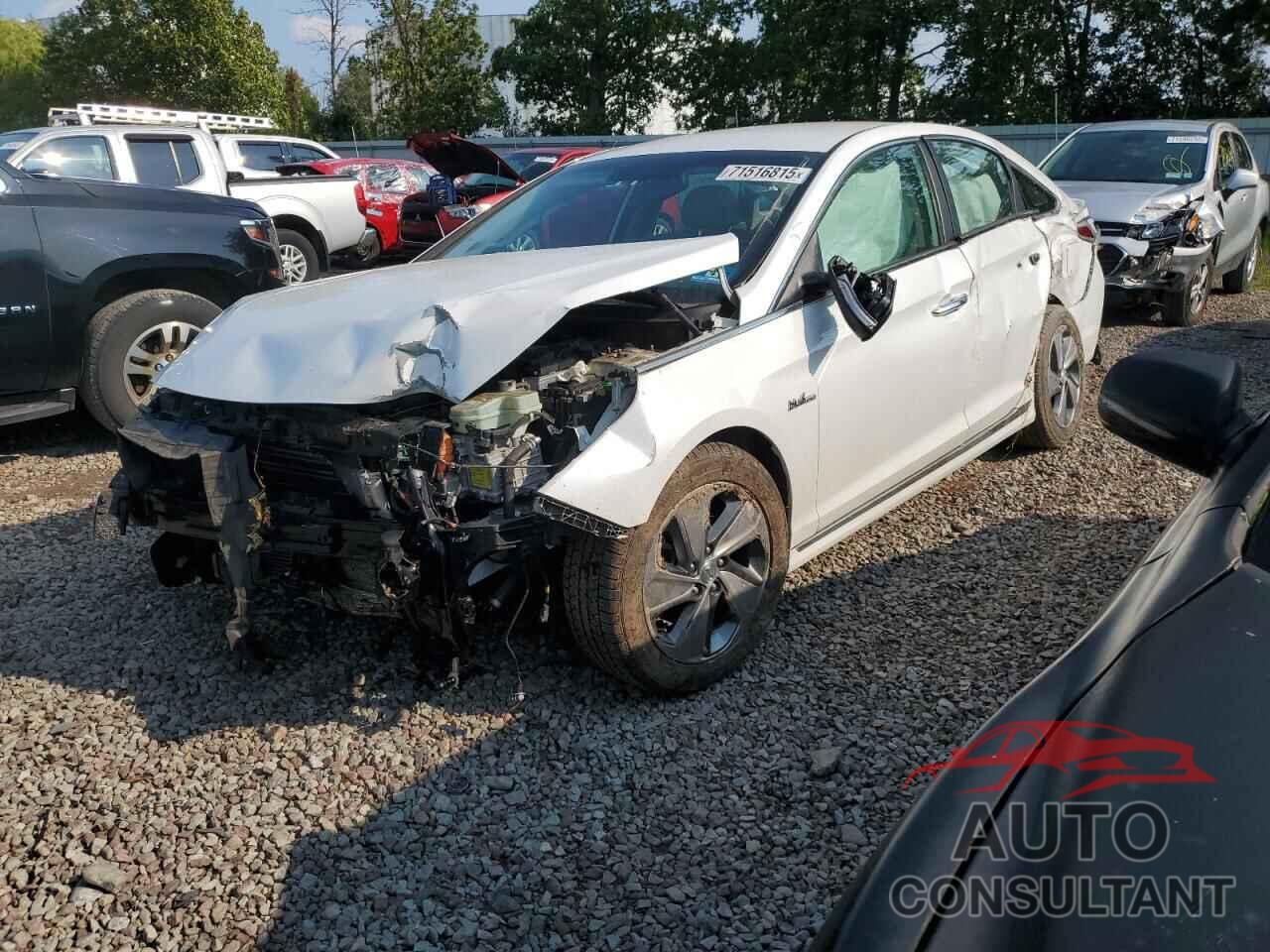 HYUNDAI SONATA 2017 - KMHE34L16HA056454