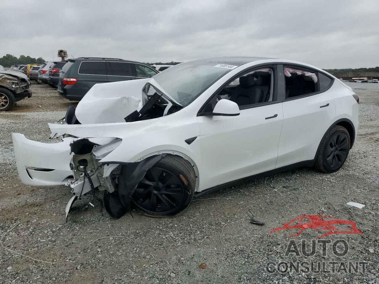 TESLA MODEL Y 2024 - 7SAYGDED2RA301448