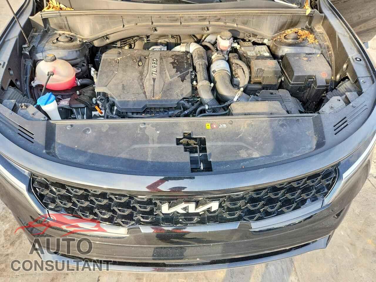 KIA SORENTO 2023 - 5XYRKDLF1PG199184