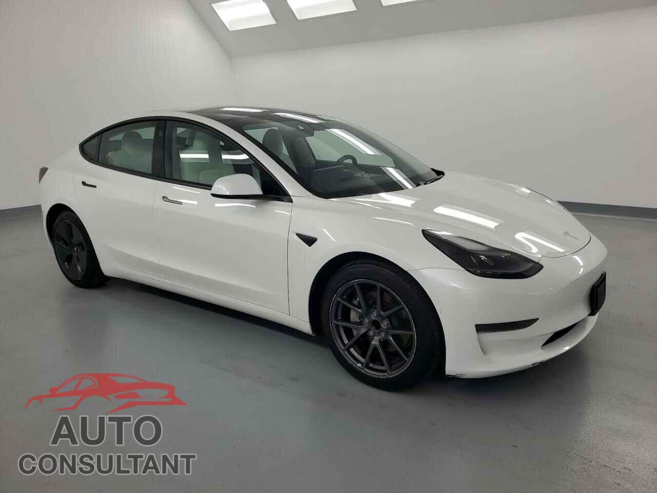 TESLA MODEL 3 2021 - 5YJ3E1EA3MF973208