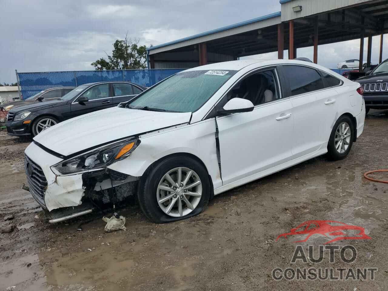 HYUNDAI SONATA 2019 - 5NPE24AF2KH806518