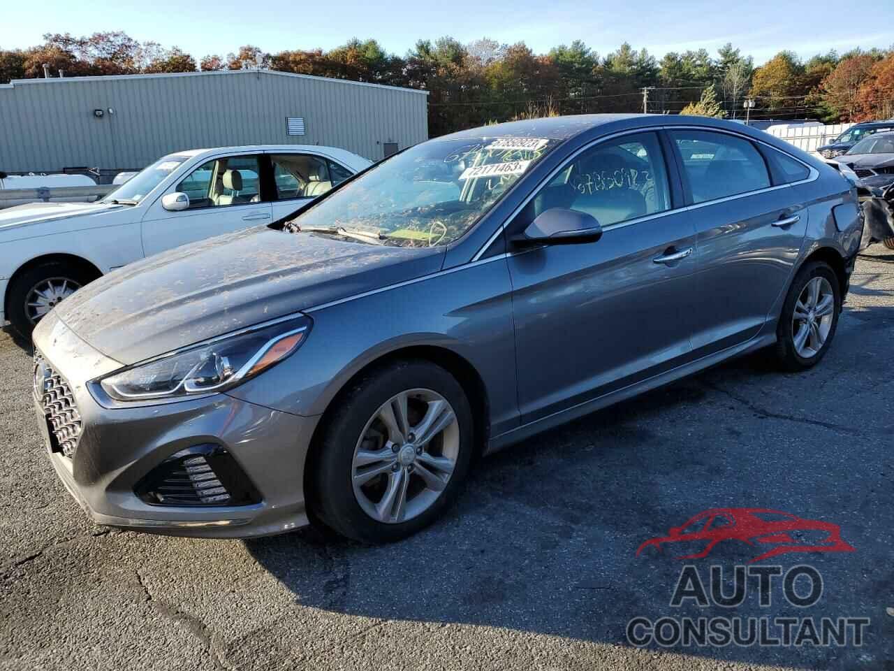 HYUNDAI SONATA 2019 - 5NPE34AFXKH745724