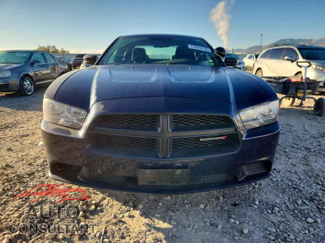 DODGE CHARGER 2014 - 2C3CDXAT3EH234854
