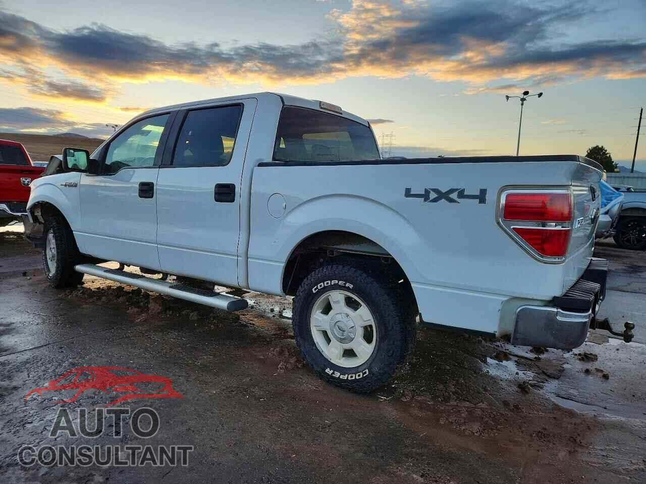 FORD F-150 2013 - 1FTFW1EF5DFD04360