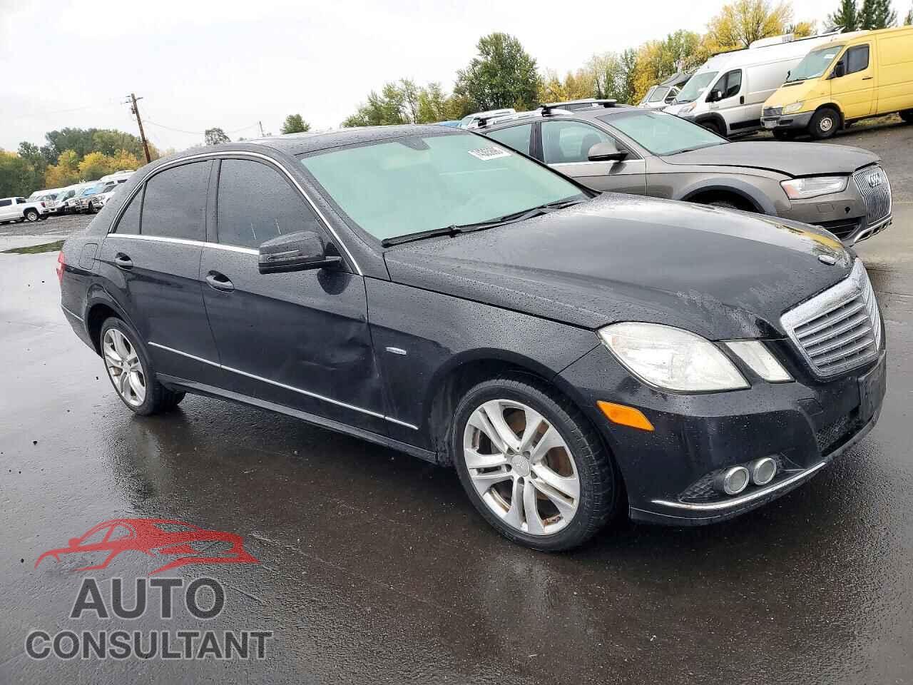 MERCEDES-BENZ E-CLASS 2011 - WDDHF2EB3BA498527
