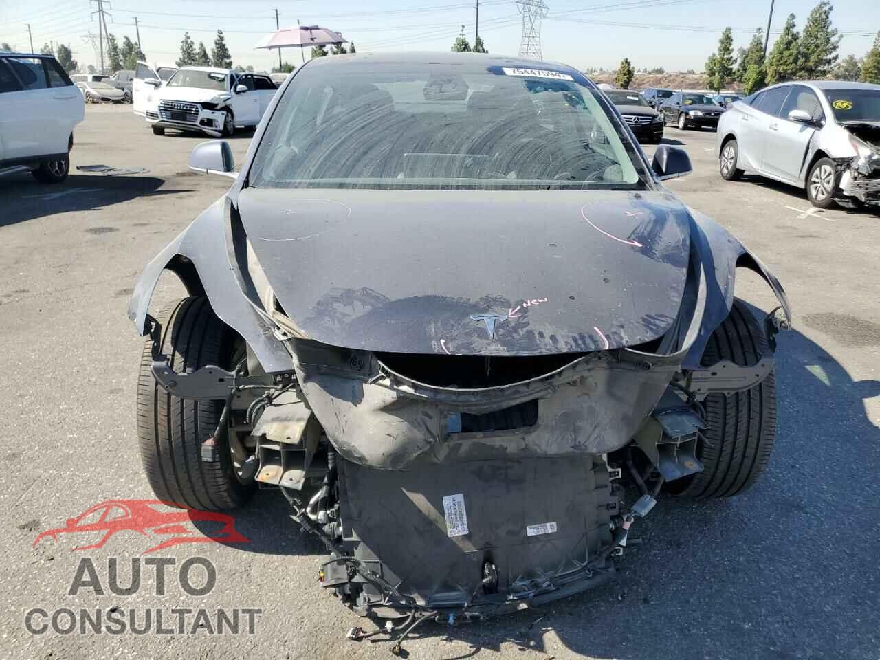TESLA MODEL 3 2019 - 5YJ3E1EA7KF425435
