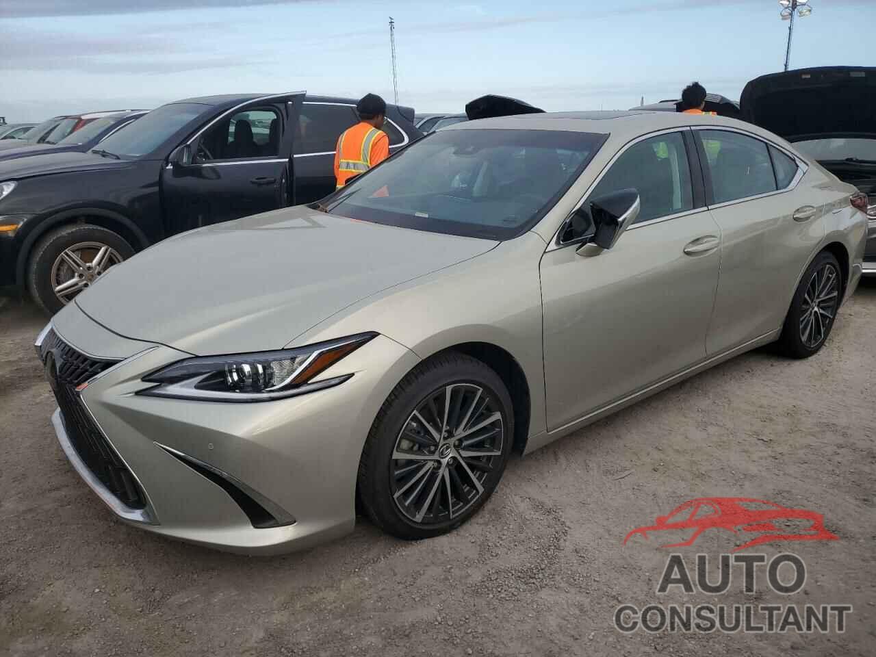 LEXUS ES350 2024 - 58ADZ1B13RU164503