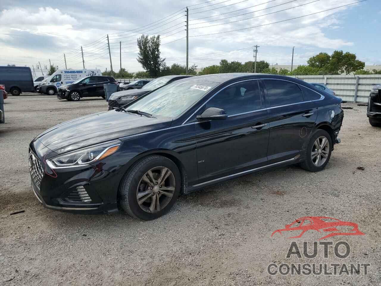 HYUNDAI SONATA 2019 - 5NPE34AF9KH821692