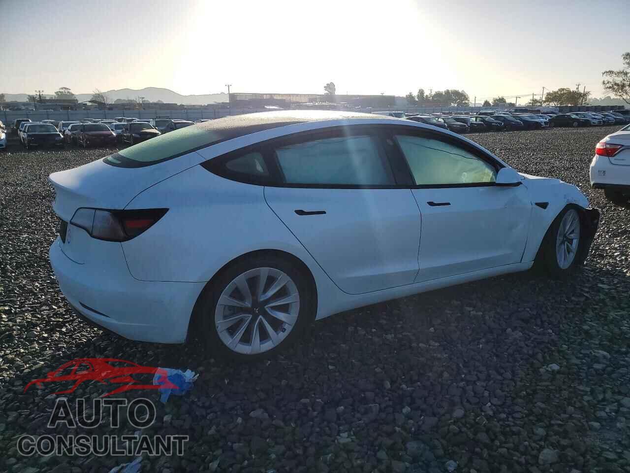 TESLA MODEL 3 2023 - 5YJ3E1EA8PF487594