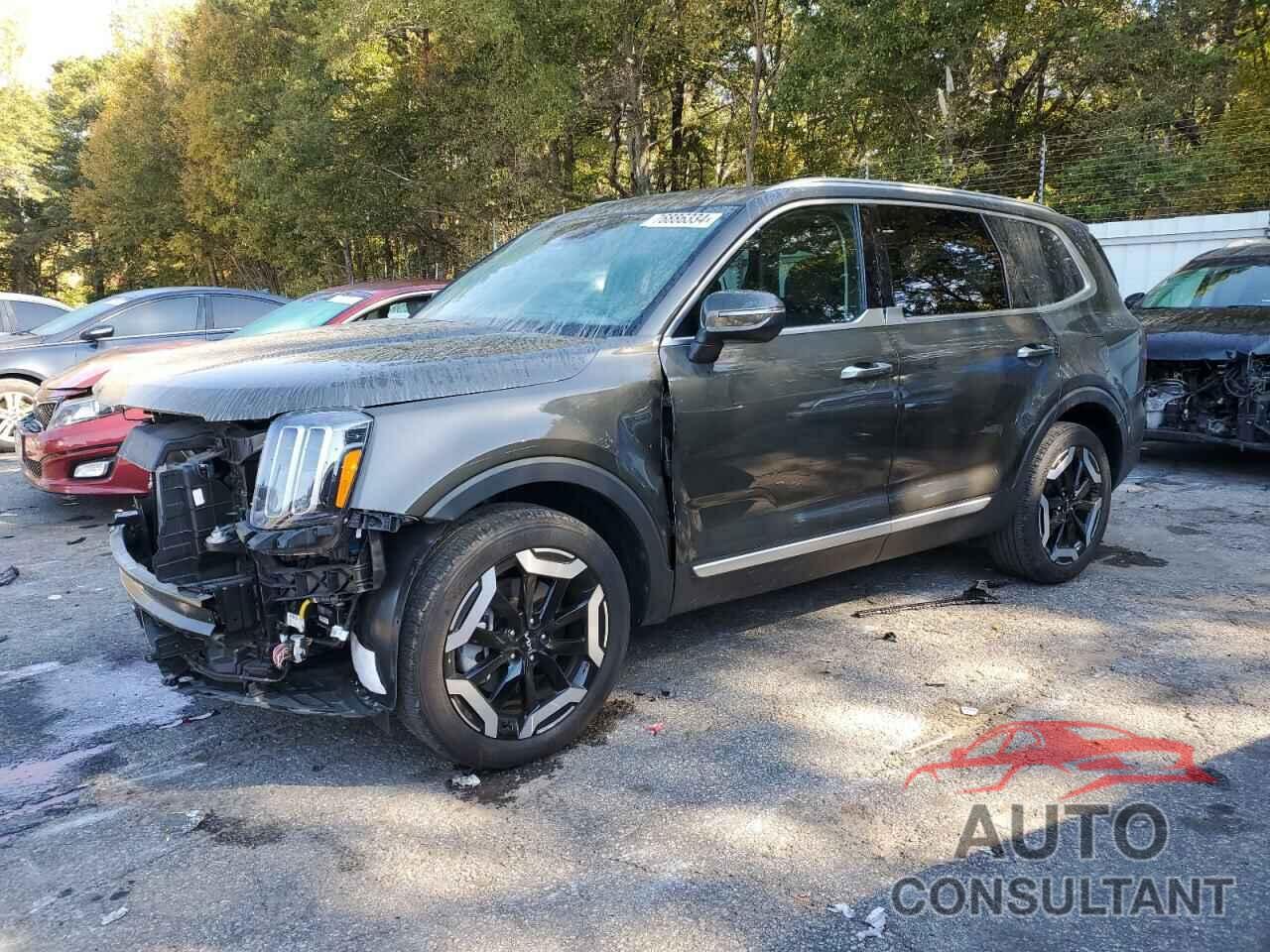 KIA TELLURIDE 2024 - 5XYP64GC9RG432369