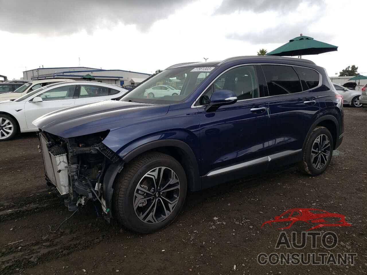 HYUNDAI SANTA FE 2019 - 5NMS5CAA4KH111348