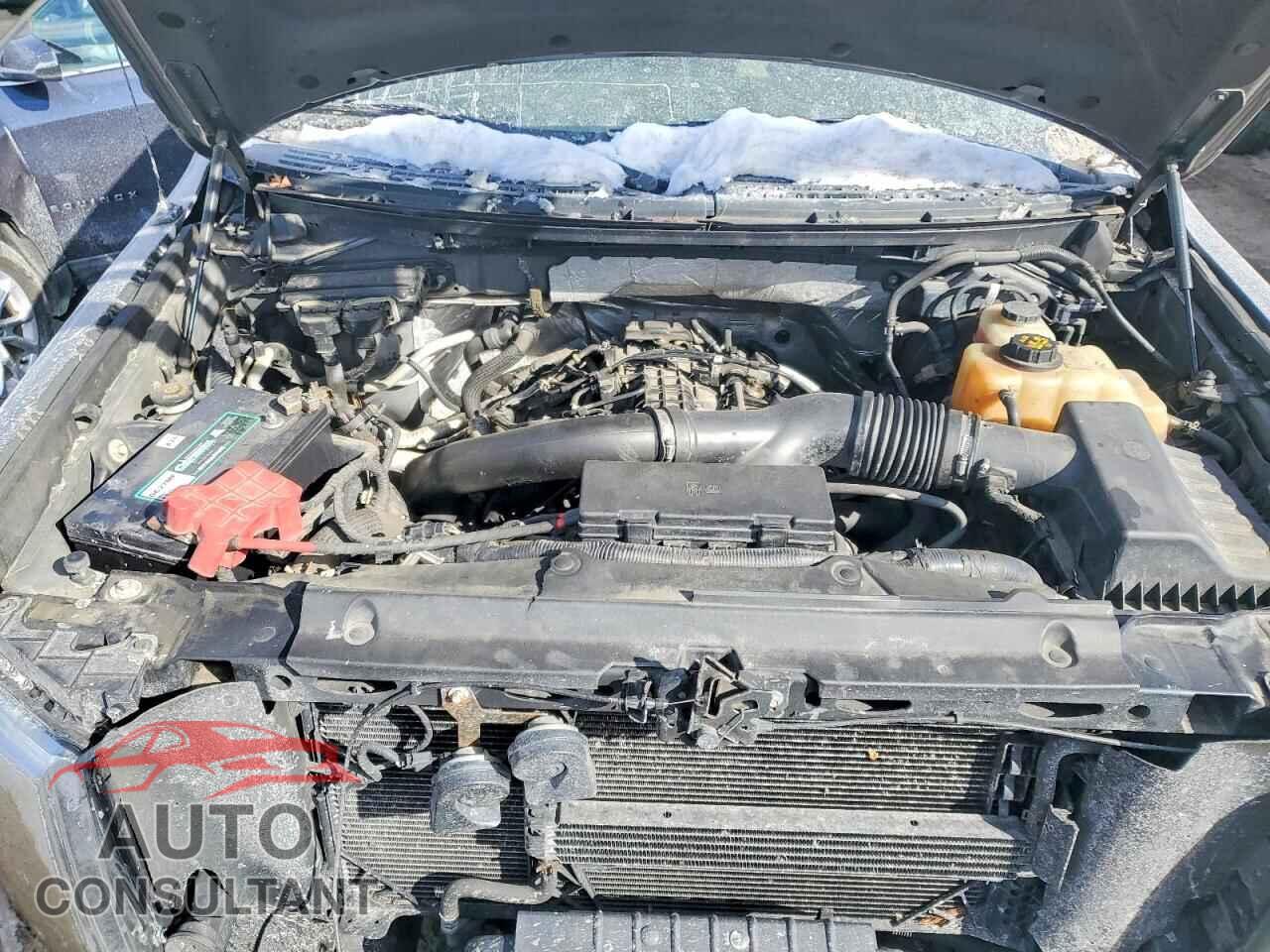 FORD F-150 2011 - 1FTFX1ETXBFB76536