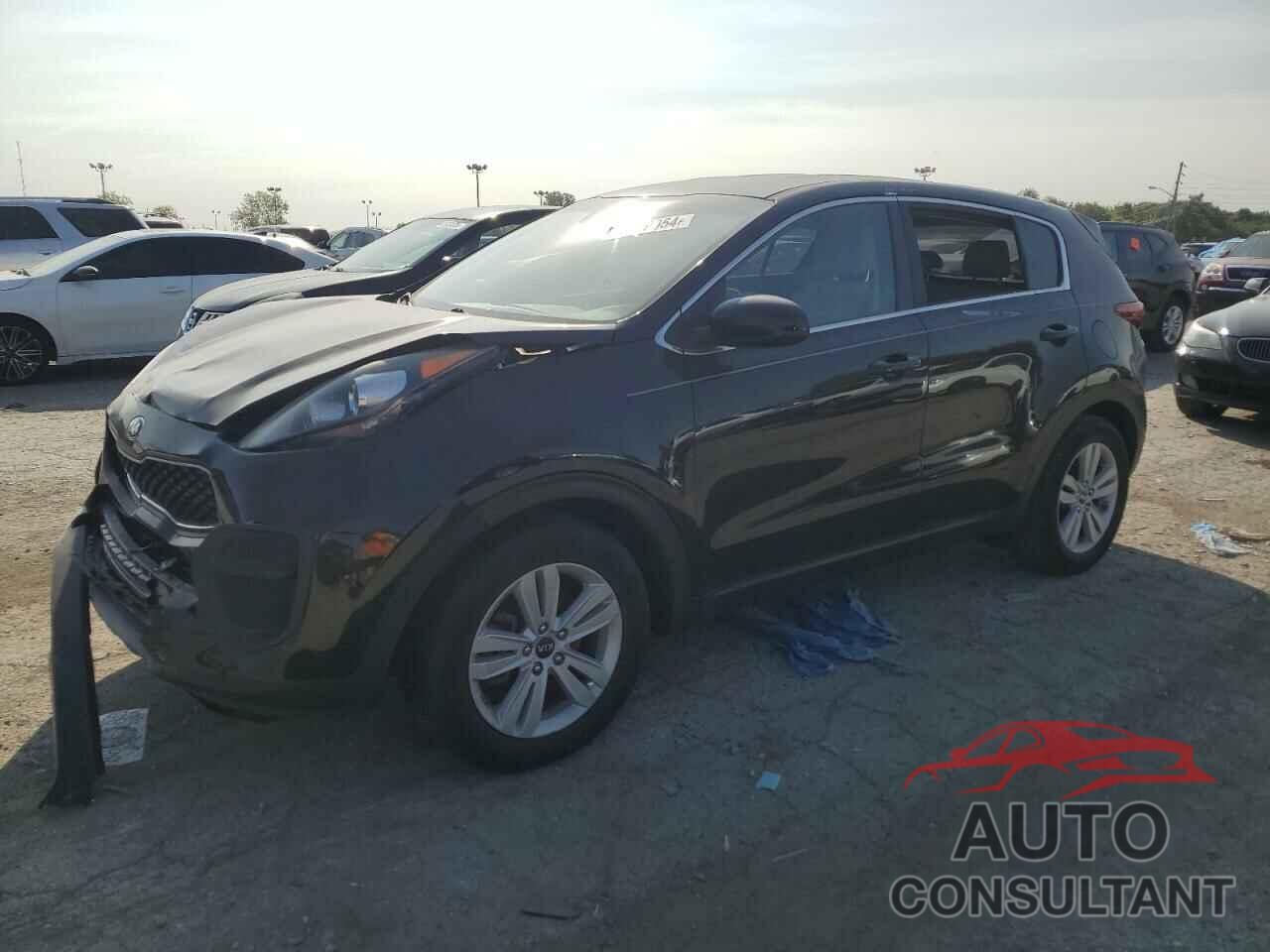 KIA SPORTAGE 2017 - KNDPM3AC8H7037006