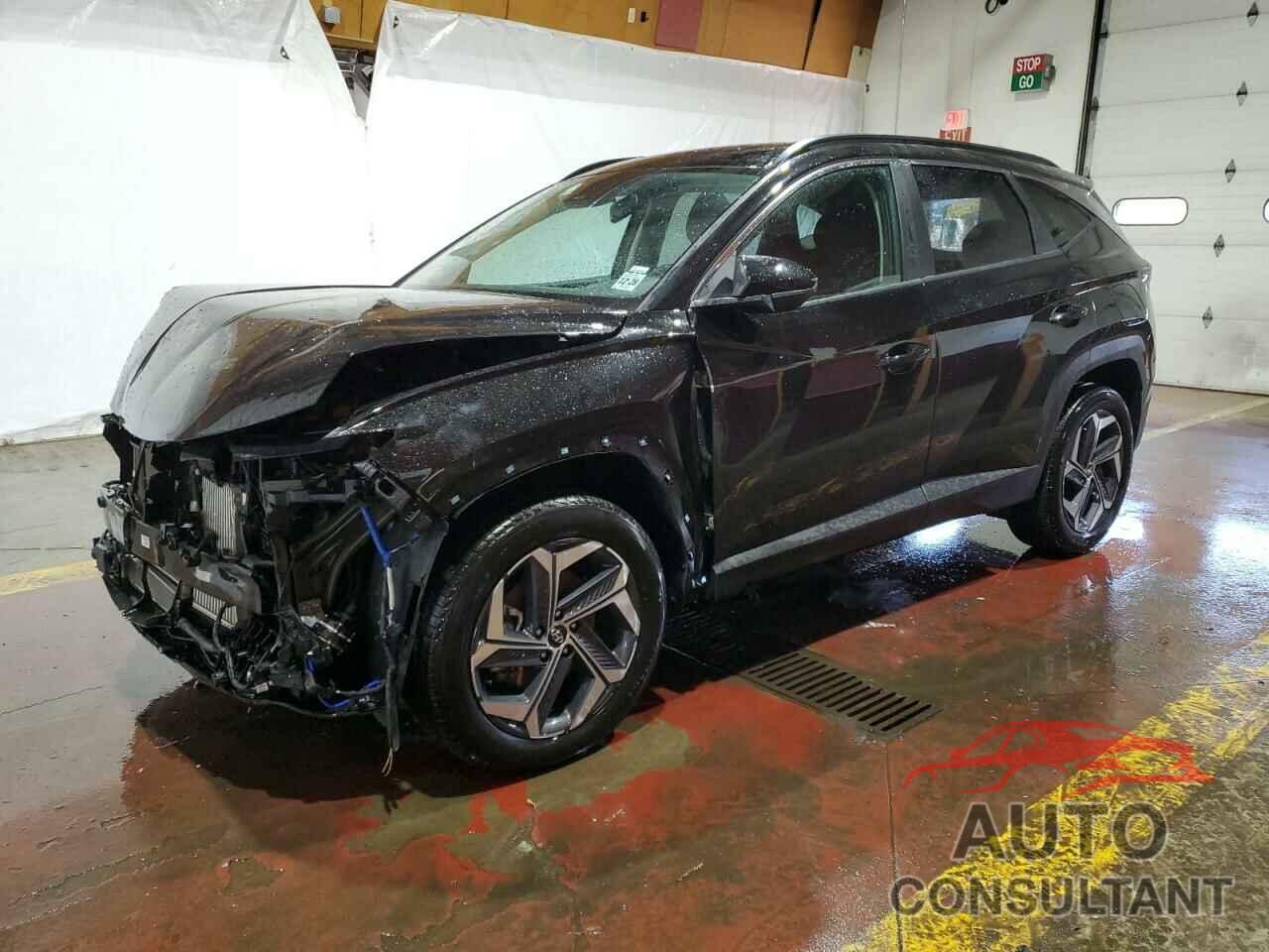 HYUNDAI TUCSON 2024 - KM8JBDD26RU158006