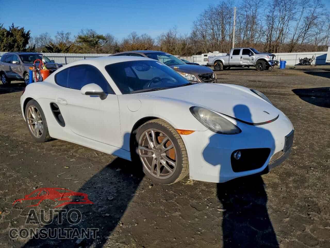 PORSCHE CAYMAN 2015 - WP0AA2A84FK164253