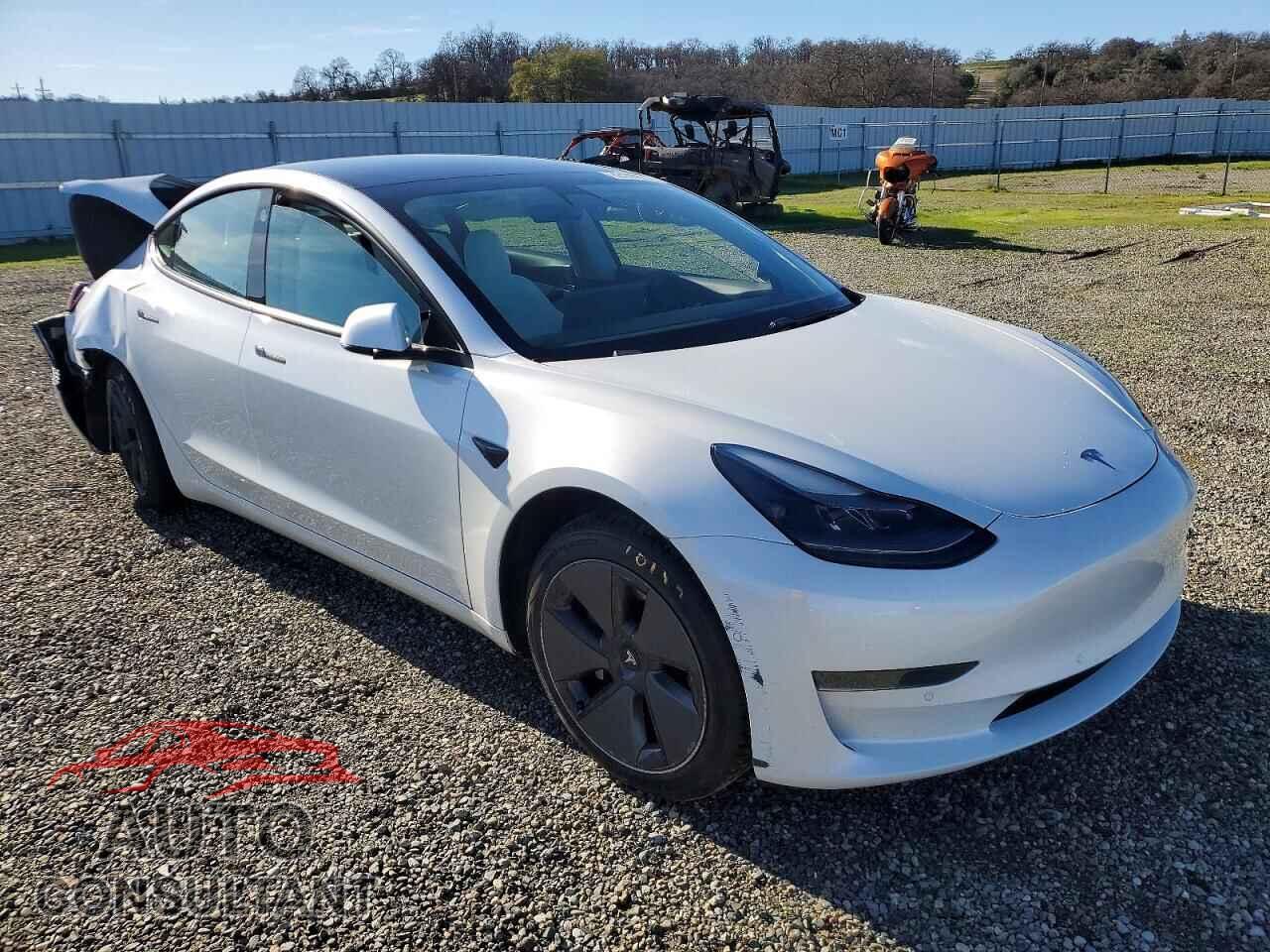TESLA MODEL 3 2021 - 5YJ3E1EA3MF928852