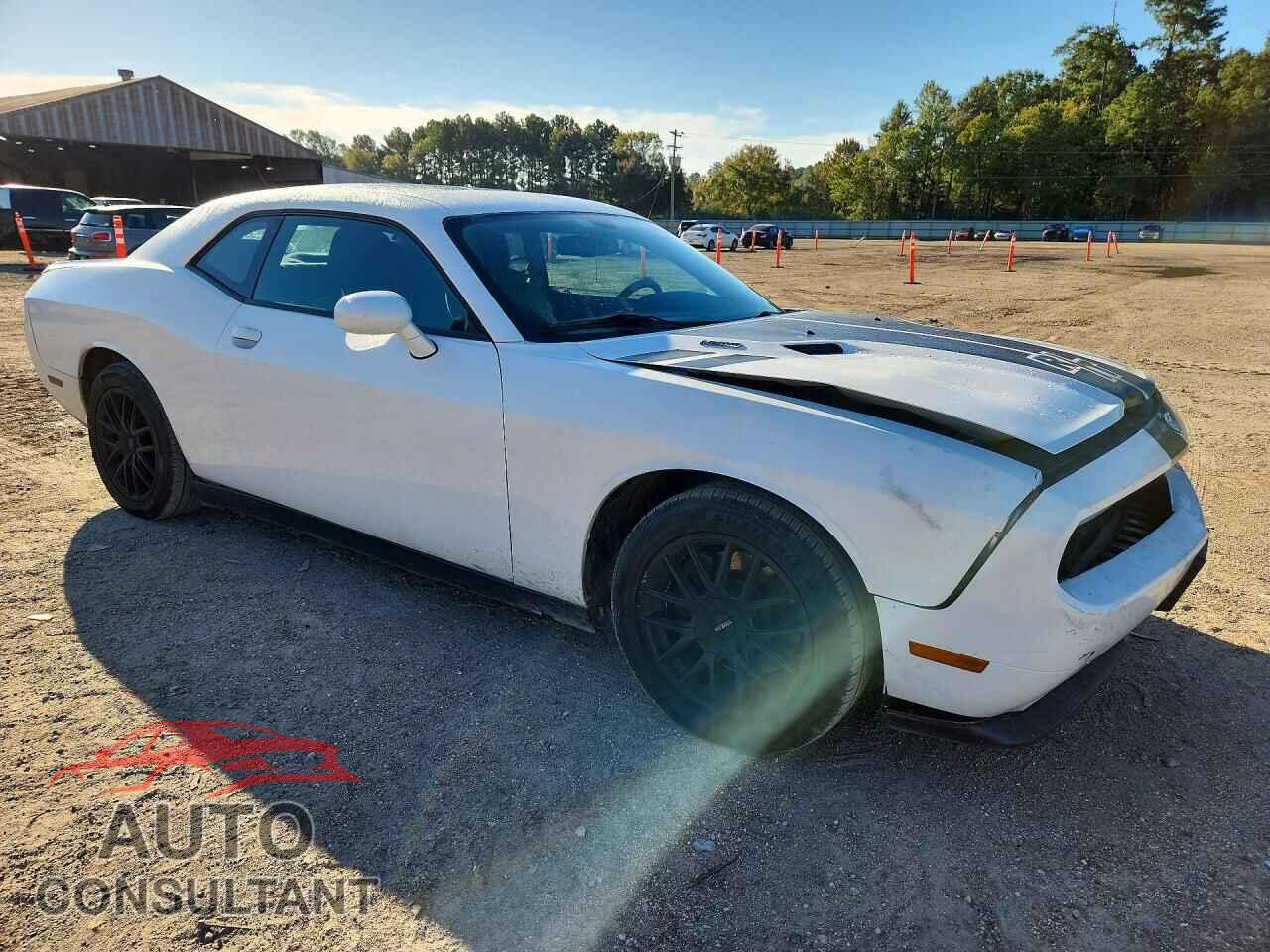 DODGE CHALLENGER 2014 - 2C3CDYBT0EH205316
