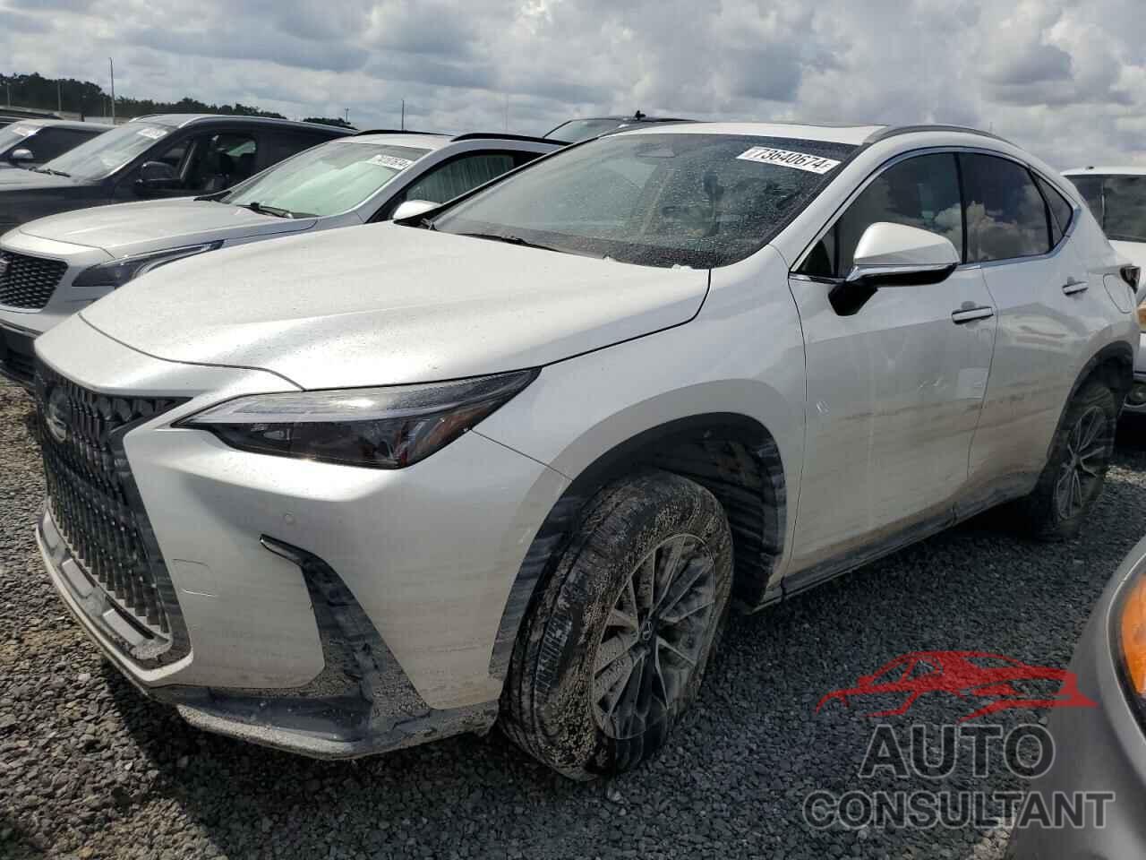 LEXUS NX 250 PRE 2025 - 2T2GDCAZXSC020763