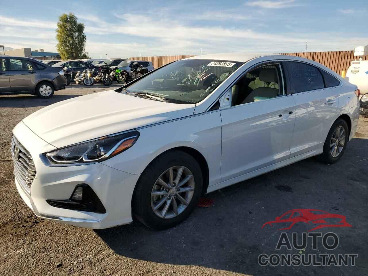HYUNDAI SONATA 2019 - 5NPE24AF0KH784826