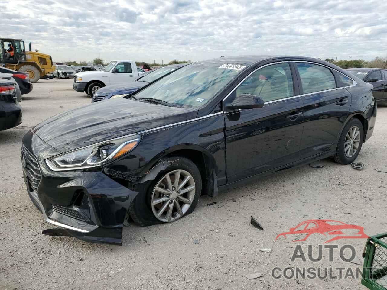 HYUNDAI SONATA 2019 - 5NPE24AFXKH735293